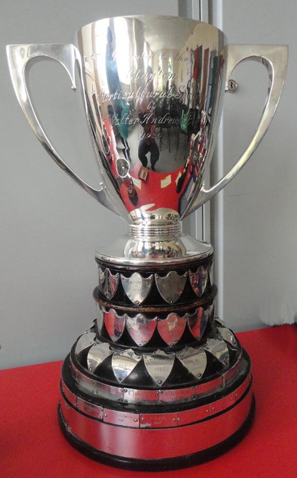 Walter Andrews Cup